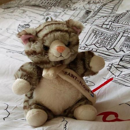 La Maison Des Chats Saint-Mary-le-Plain ภายนอก รูปภาพ
