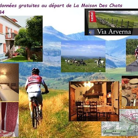 La Maison Des Chats Saint-Mary-le-Plain ภายนอก รูปภาพ