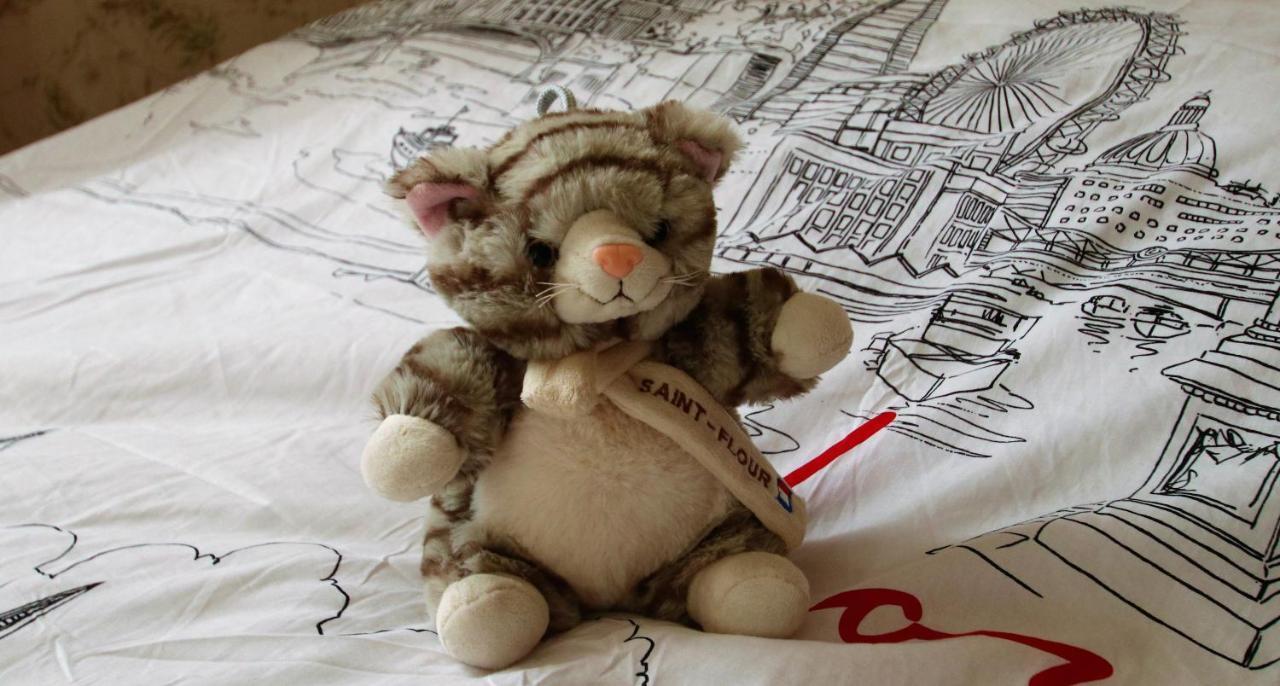 La Maison Des Chats Saint-Mary-le-Plain ภายนอก รูปภาพ