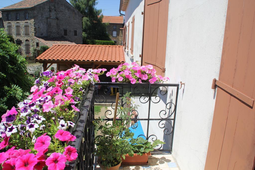 La Maison Des Chats Saint-Mary-le-Plain ภายนอก รูปภาพ