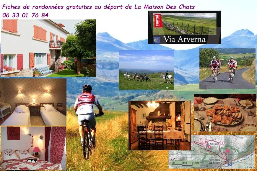 La Maison Des Chats Saint-Mary-le-Plain ภายนอก รูปภาพ